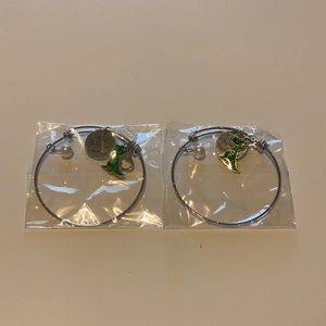 Dinosaur Sister Bracelets